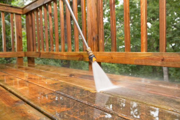 Best Driveway Pressure Washing  in Forestde, AL